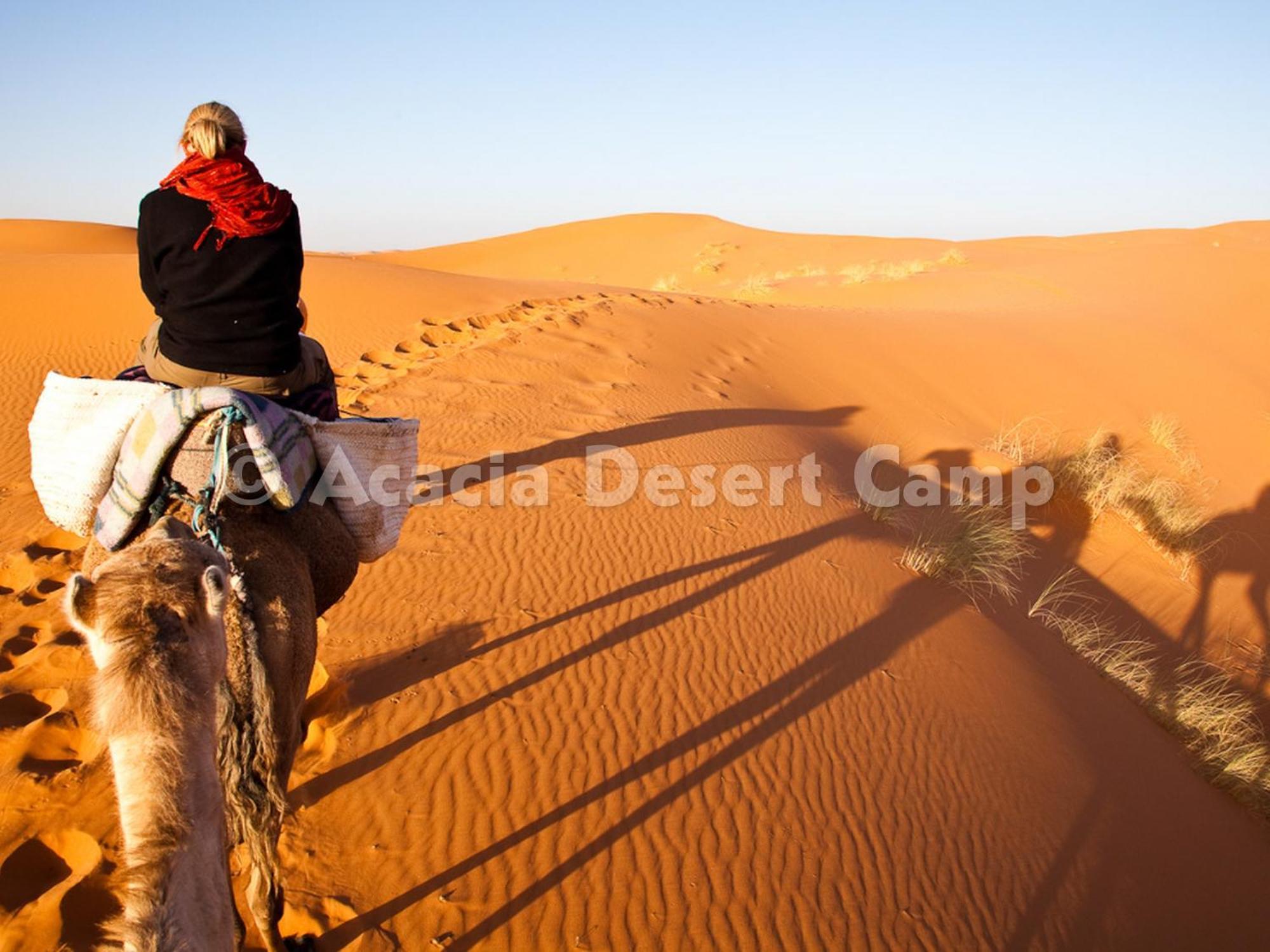 Hotel Acacia Desert Camp Merzouga Exterior foto