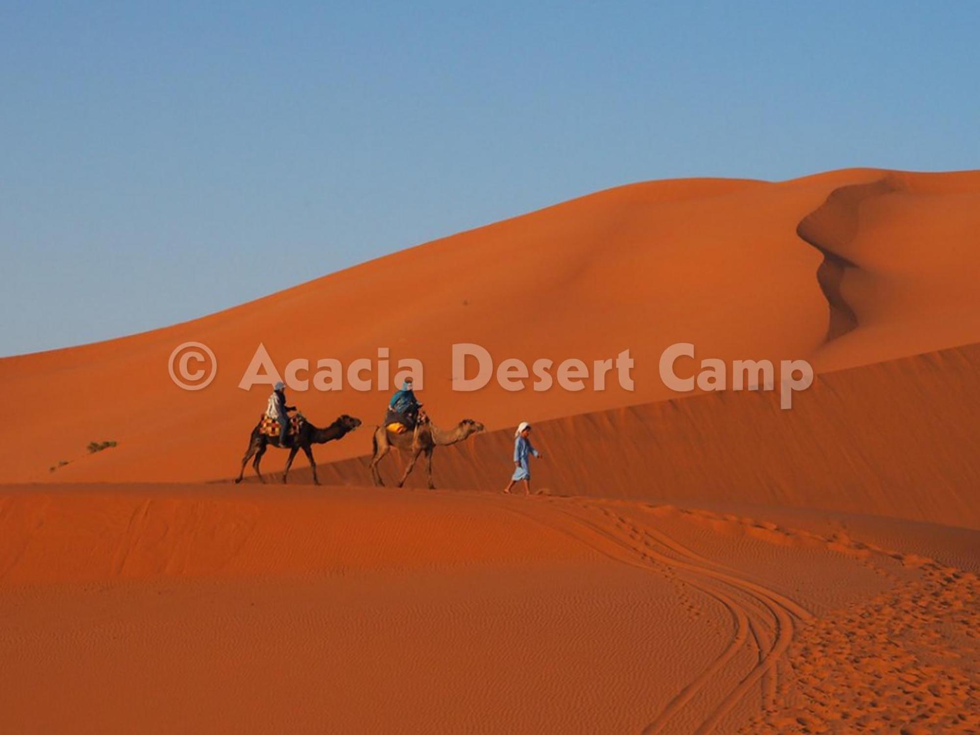 Hotel Acacia Desert Camp Merzouga Exterior foto